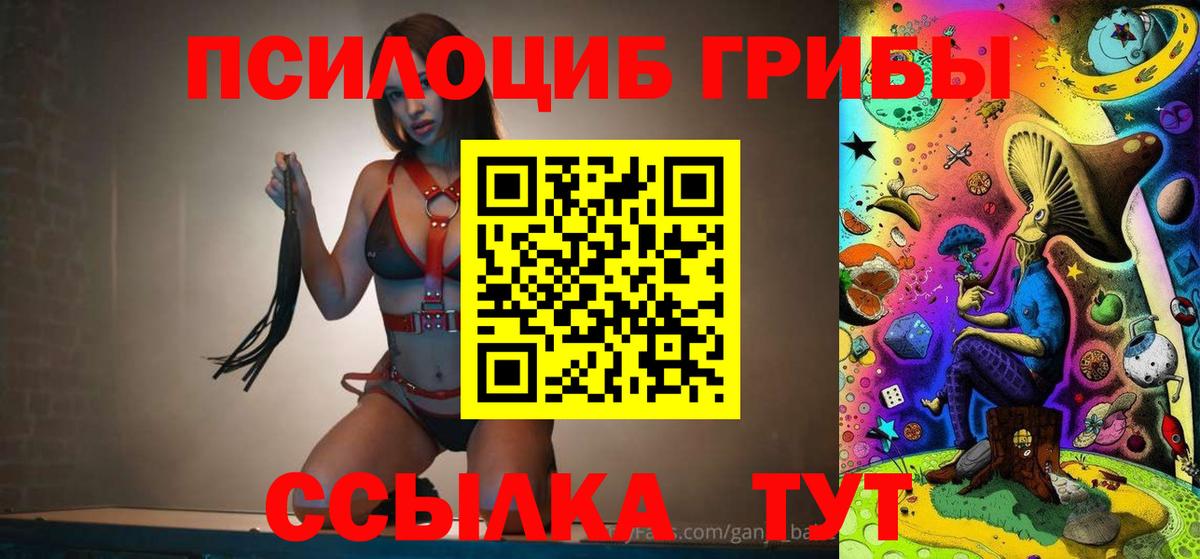 Галлюциногенные грибы Cubensis  что такое   Шахты  Вход с VPN 