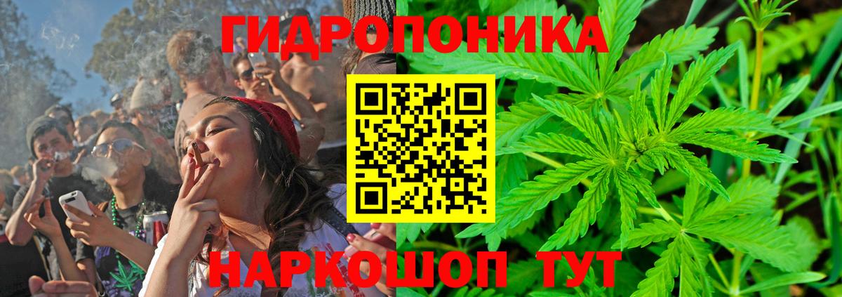 Каннабис SATIVA & INDICA Шахты